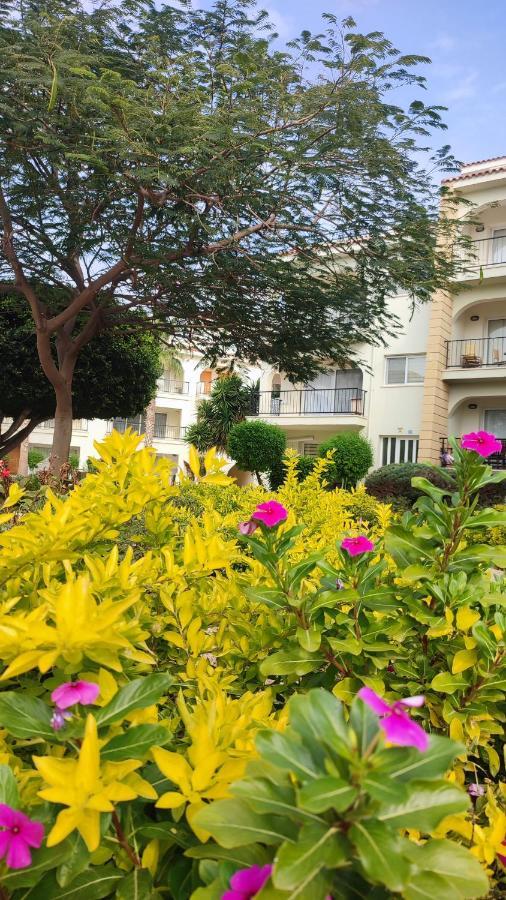 Fantastic 4 Cyprus First Line Beachfront Boghaz Εξωτερικό φωτογραφία